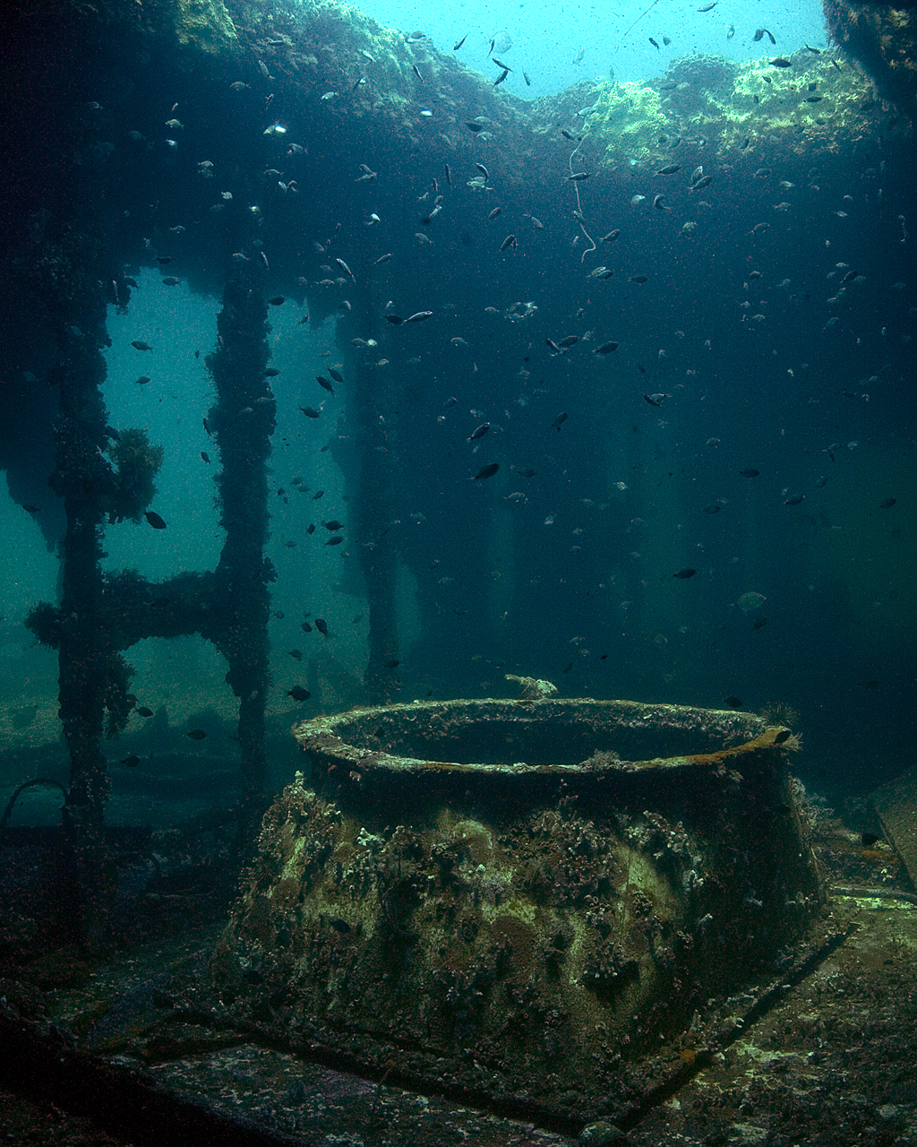 Indra Artificial Reef, Morehead City, NC