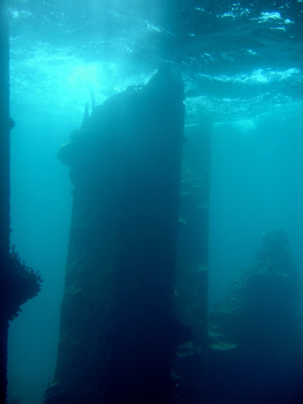 Inside a sunken barge at Junkyard