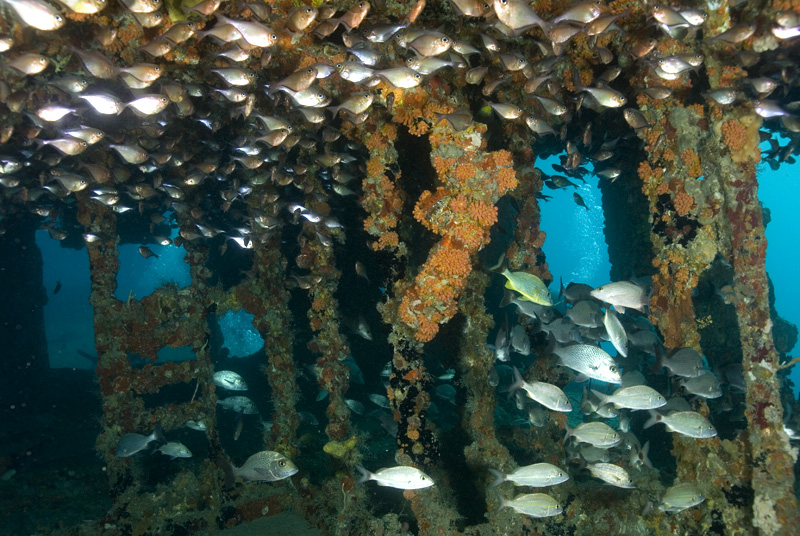 Inside of Ancient Mariner