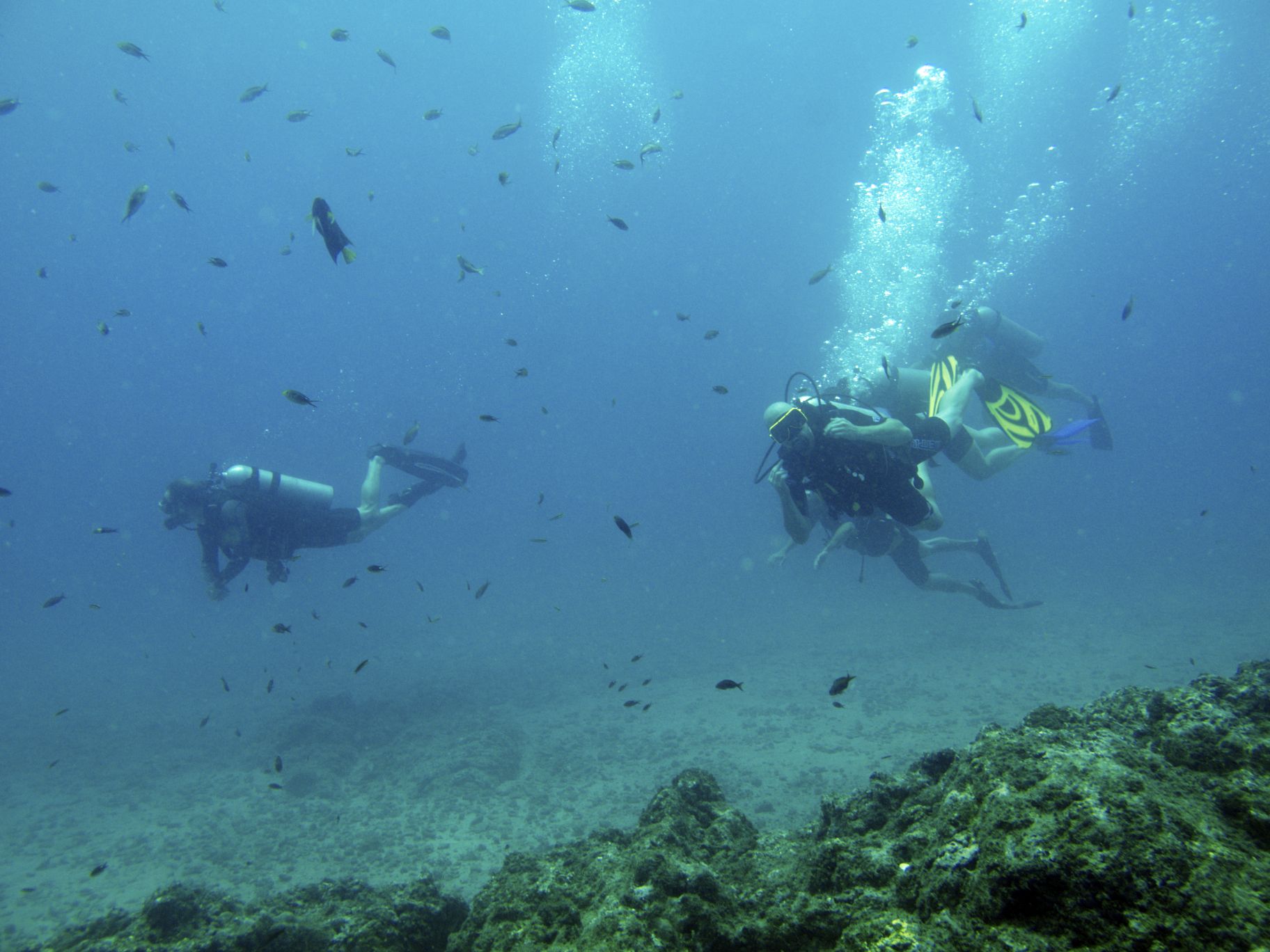 Isla Del Cano Diving - Costa Rica