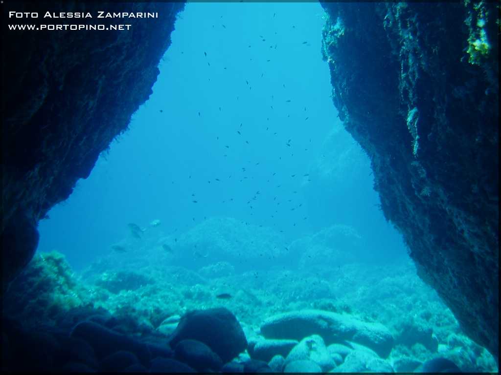 Isola La Vacca - Sardinia - Italy