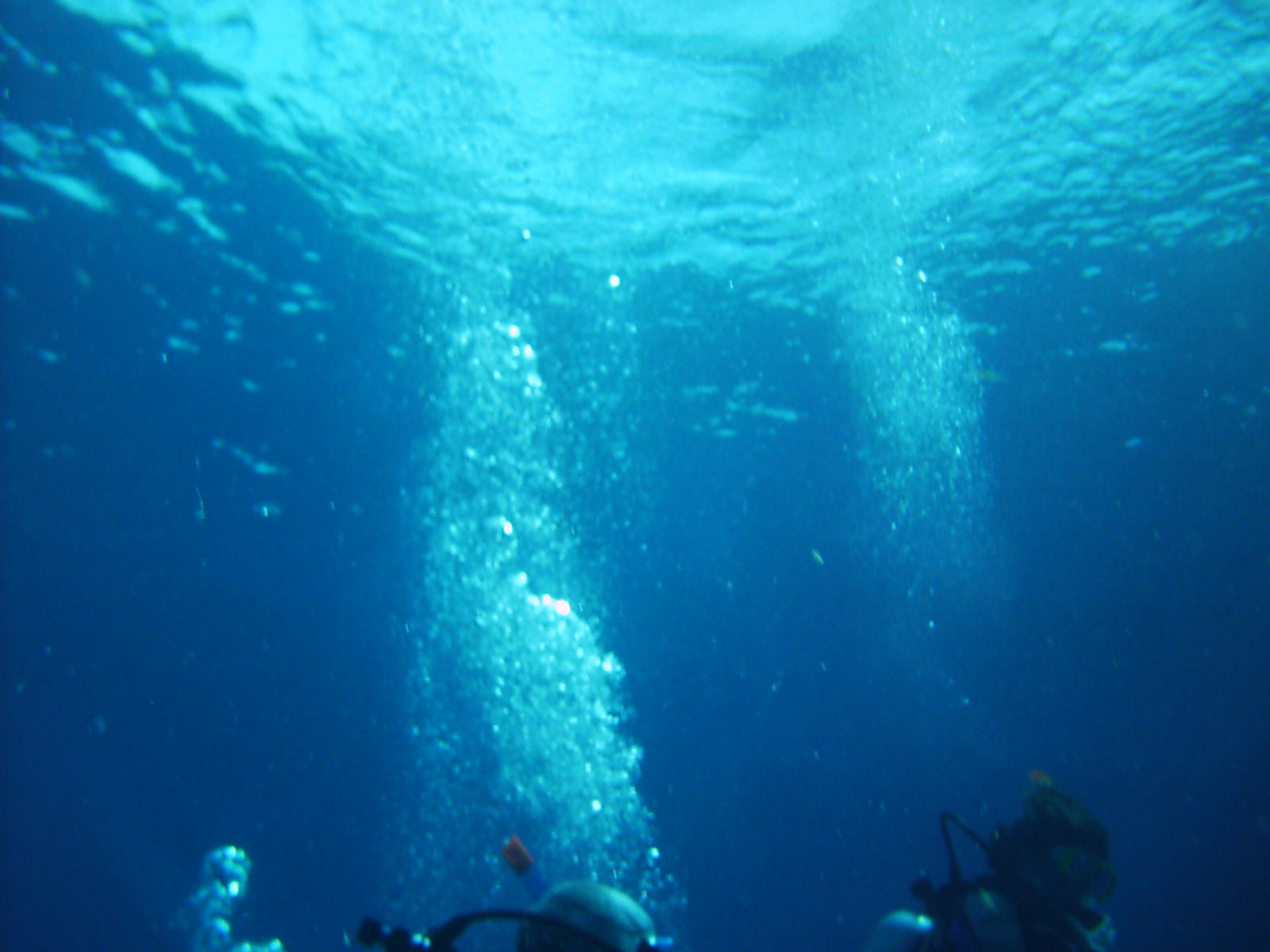 Jamaica - 50 ft. O'bubbles