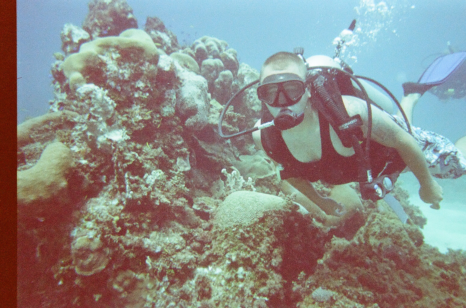 jamaica