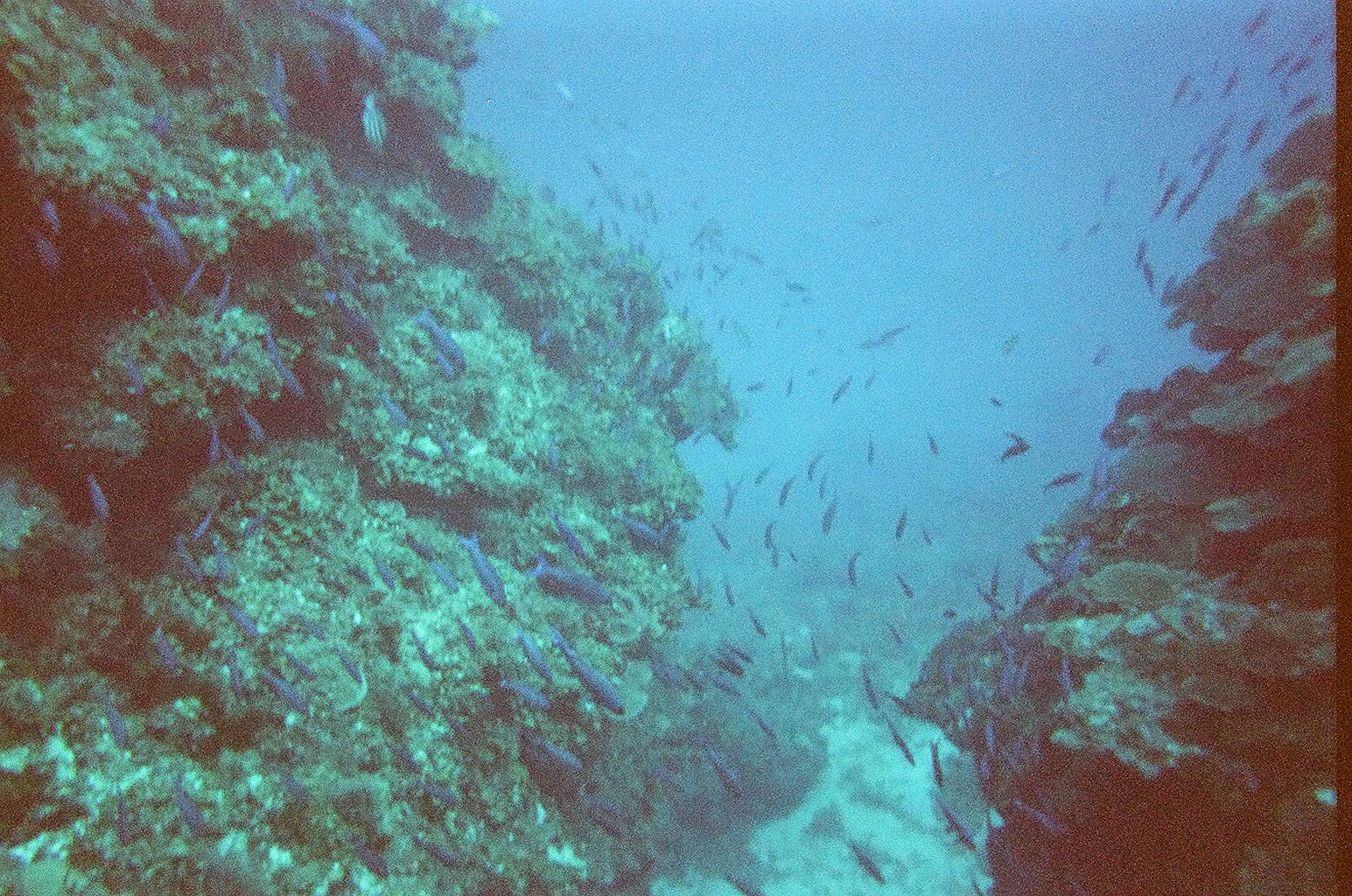 jamaica