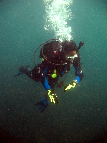 Japan Diving