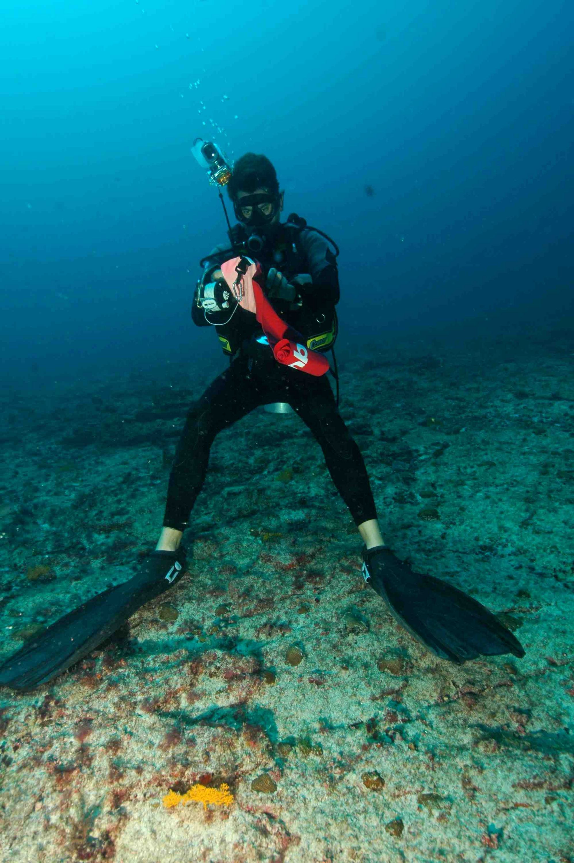 JB At Rocky Wonderland by Terry Goldie