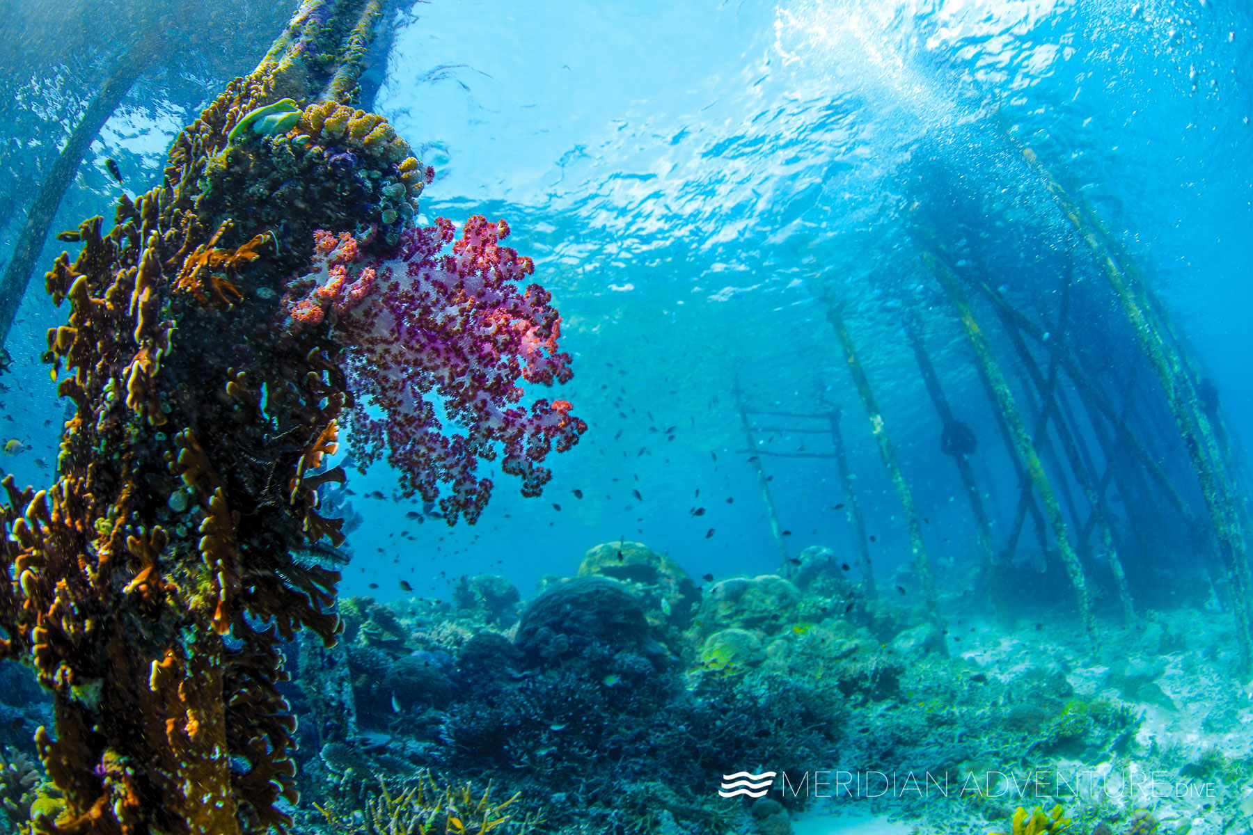 Jetty Diving in Raja Ampat