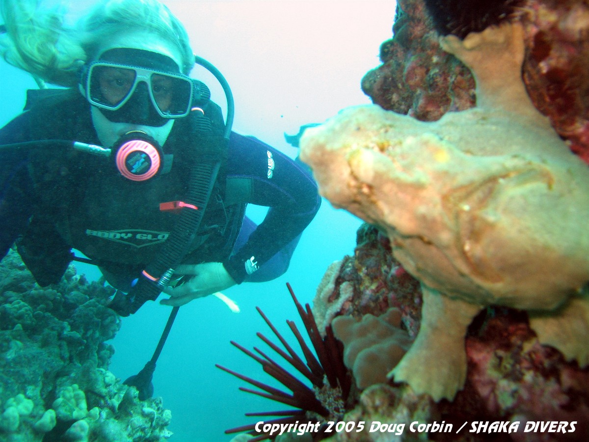 'JoLyn and a Yellow Frogfish"