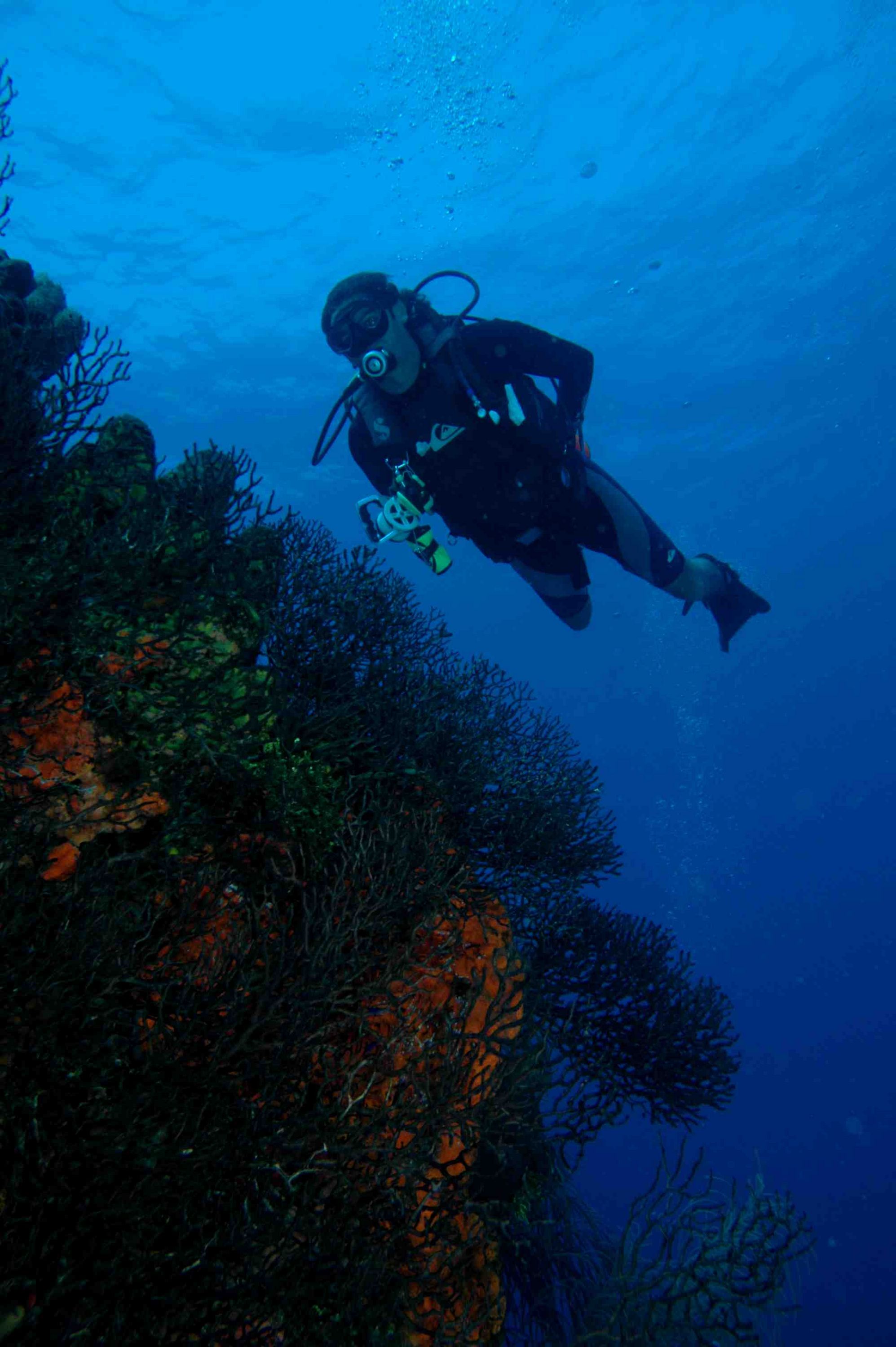 Juan at Cayo los Frailes