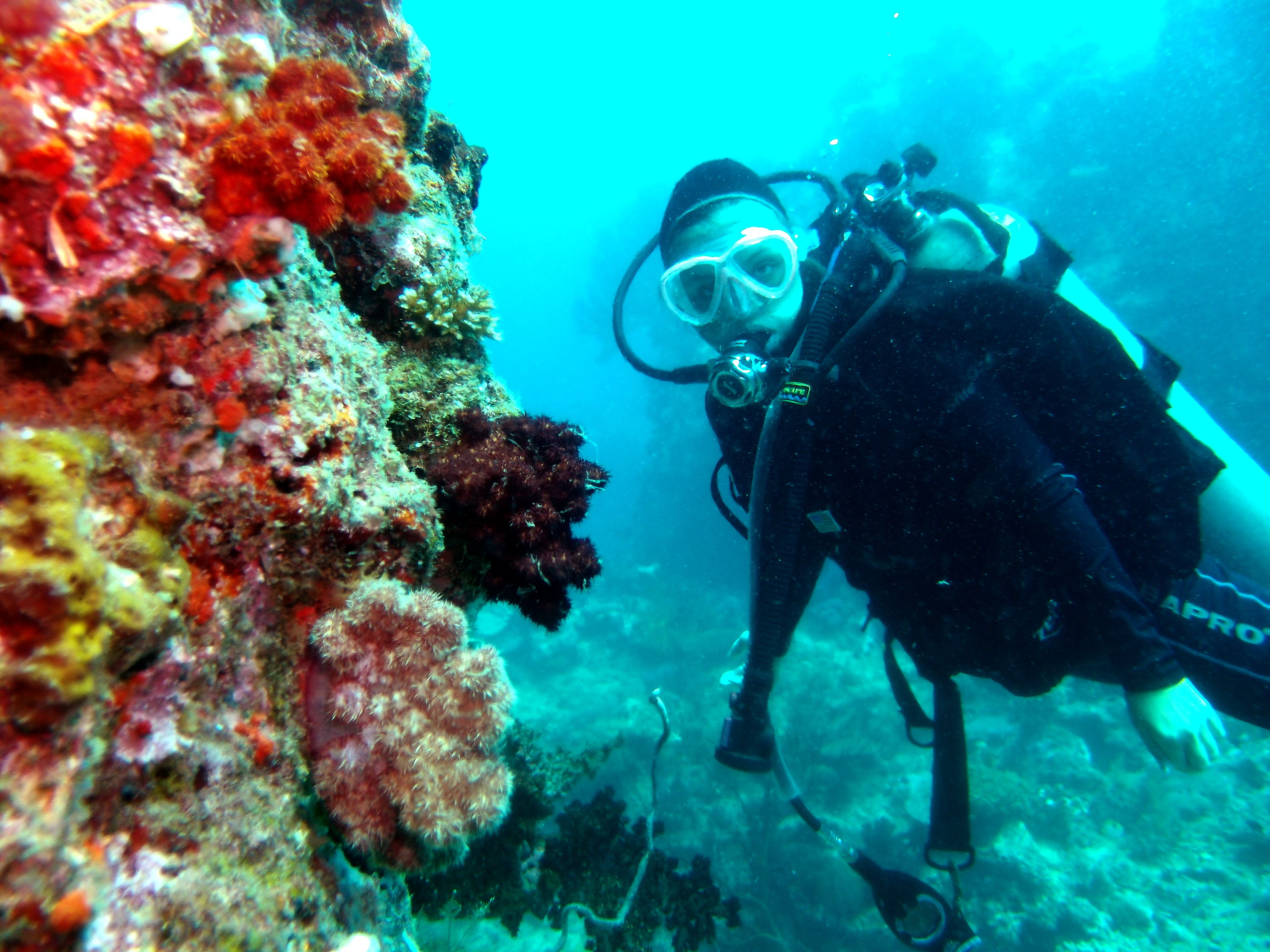 Julia in Fiji