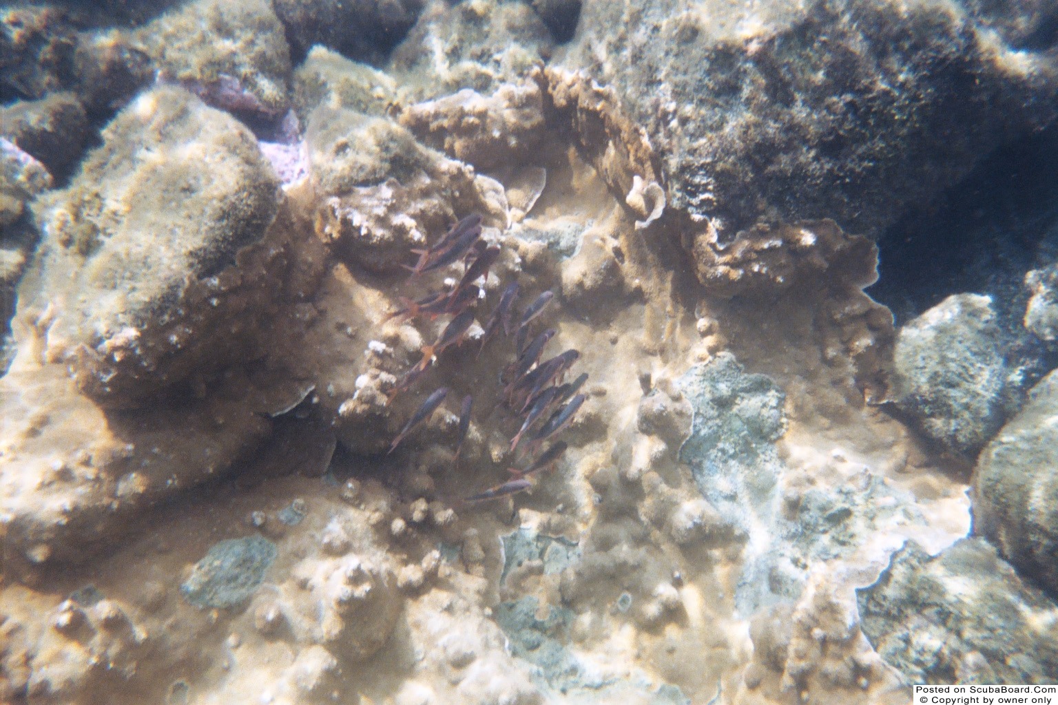 Kapoho Tide Pools