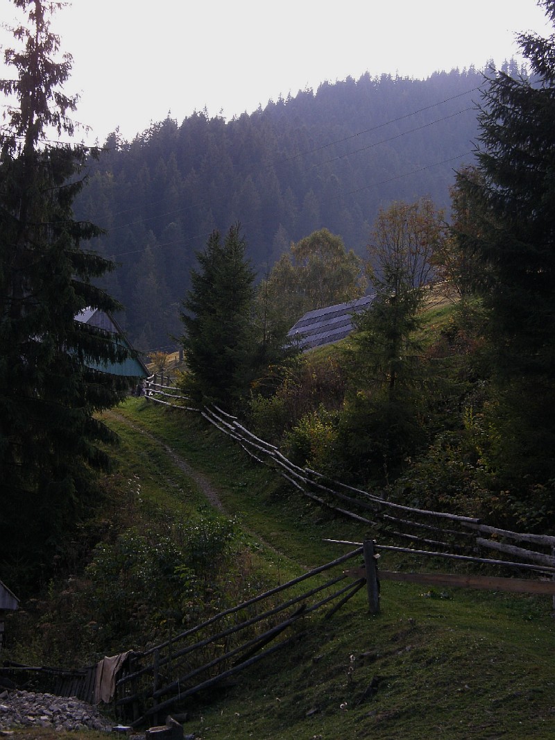 Karpatian landscape