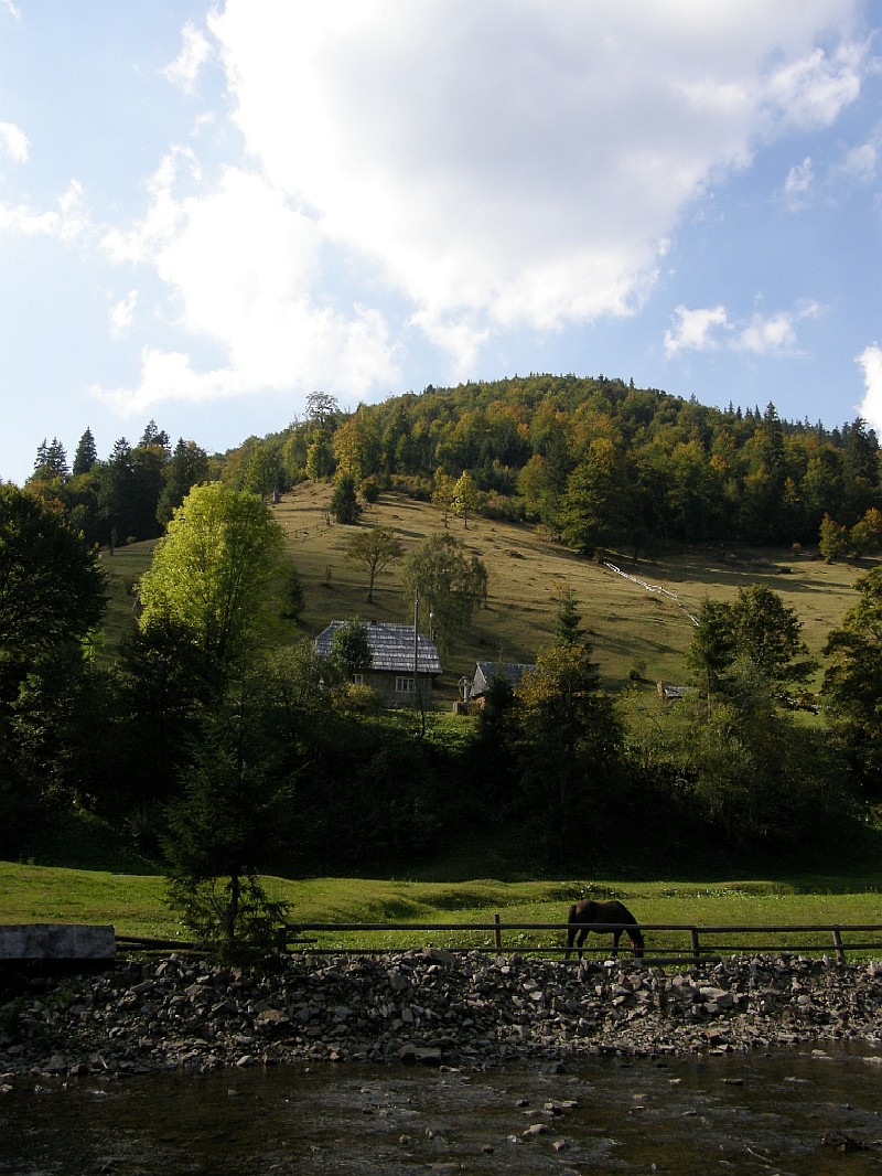 Karpatian landscape