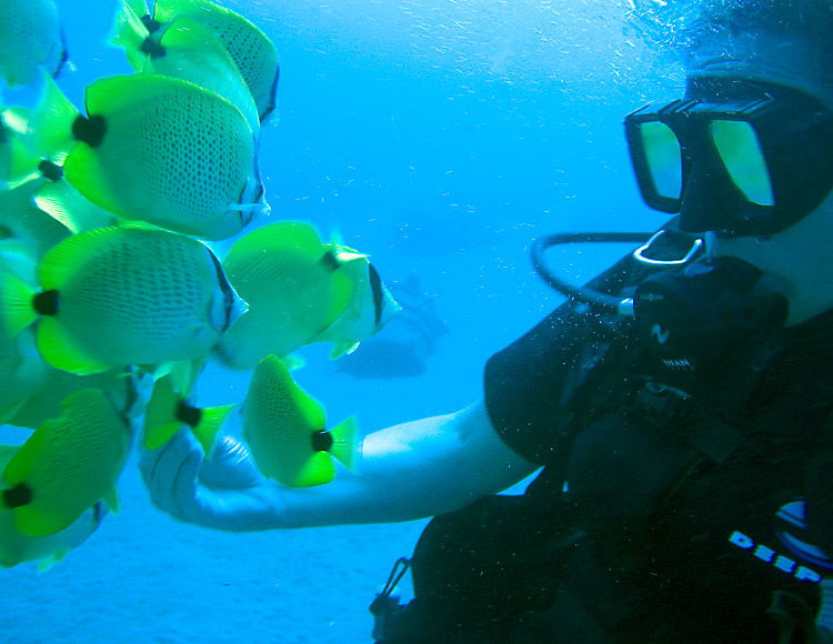 Kathy_with_Lemon_Butterflyfish_-_Lau-wili_wili_PB020058