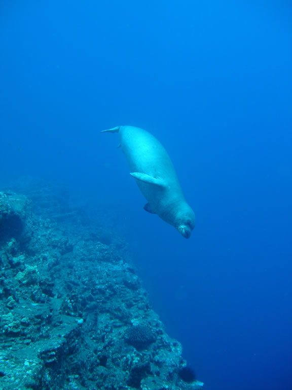 Kauai Trip