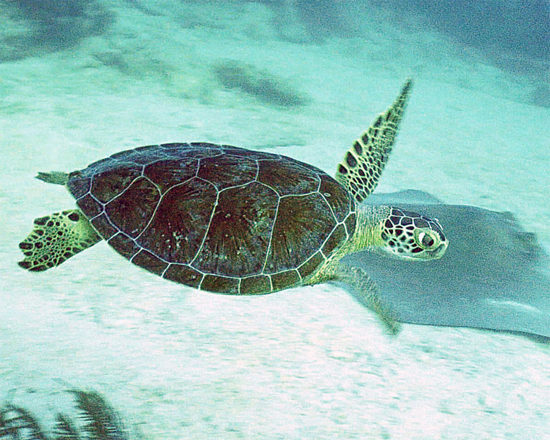 Key Largo 2005