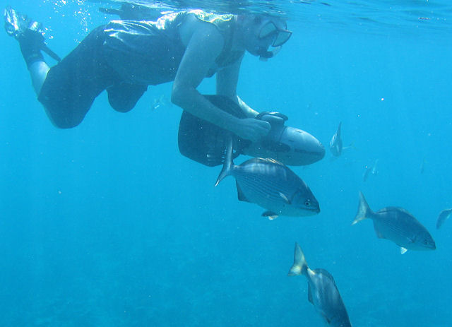 Key Largo snorkel trip