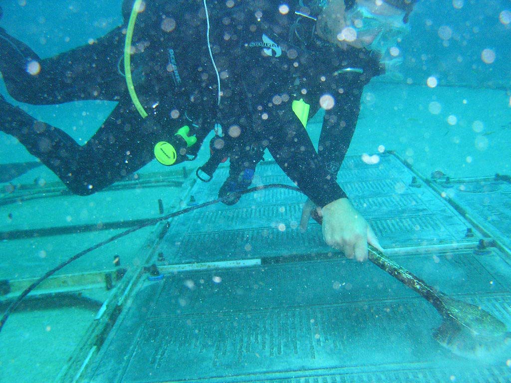 Key Largo Spiegle Grove before it flipped back last year!