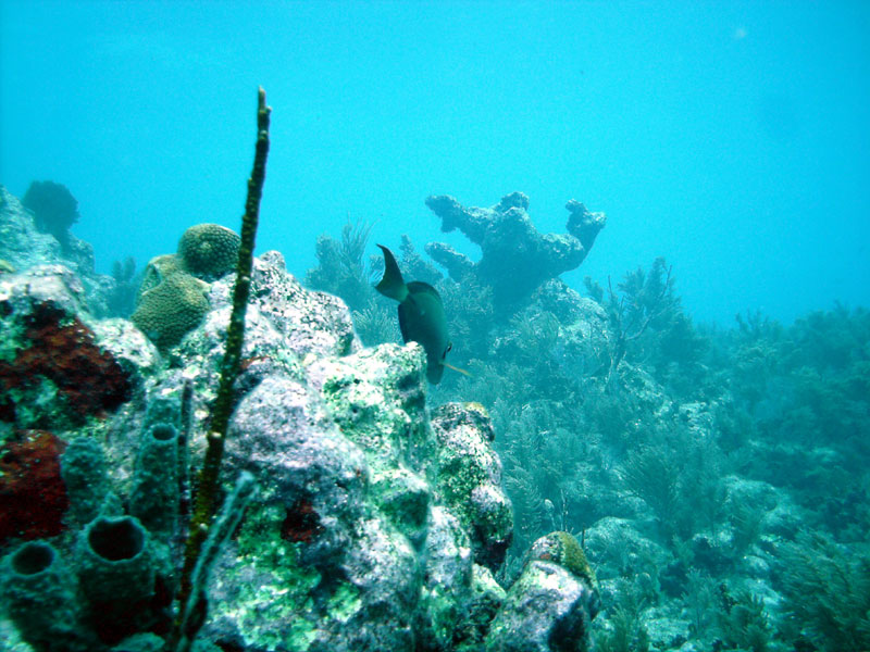 Key Largo