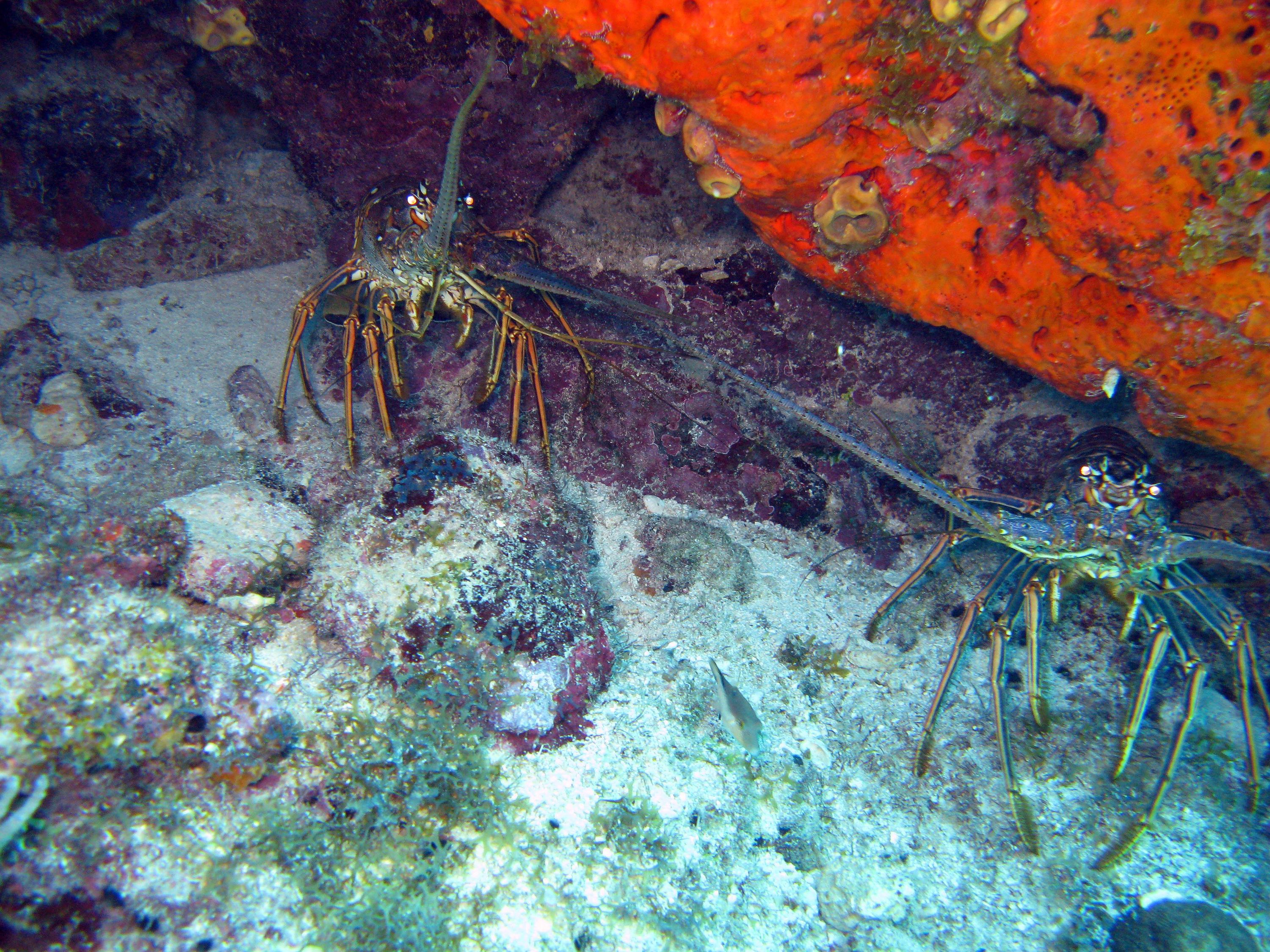 Key Largo