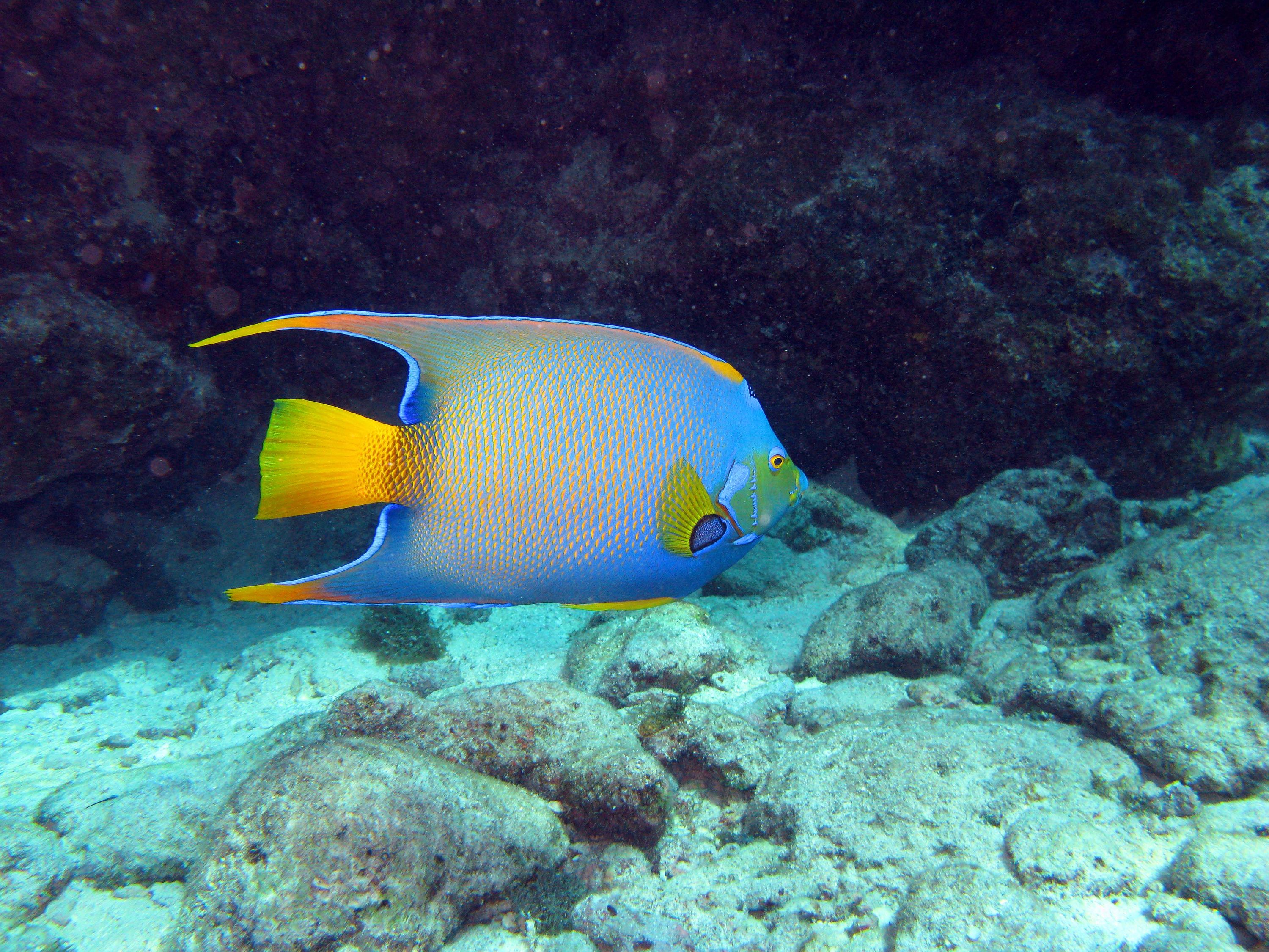 Key Largo