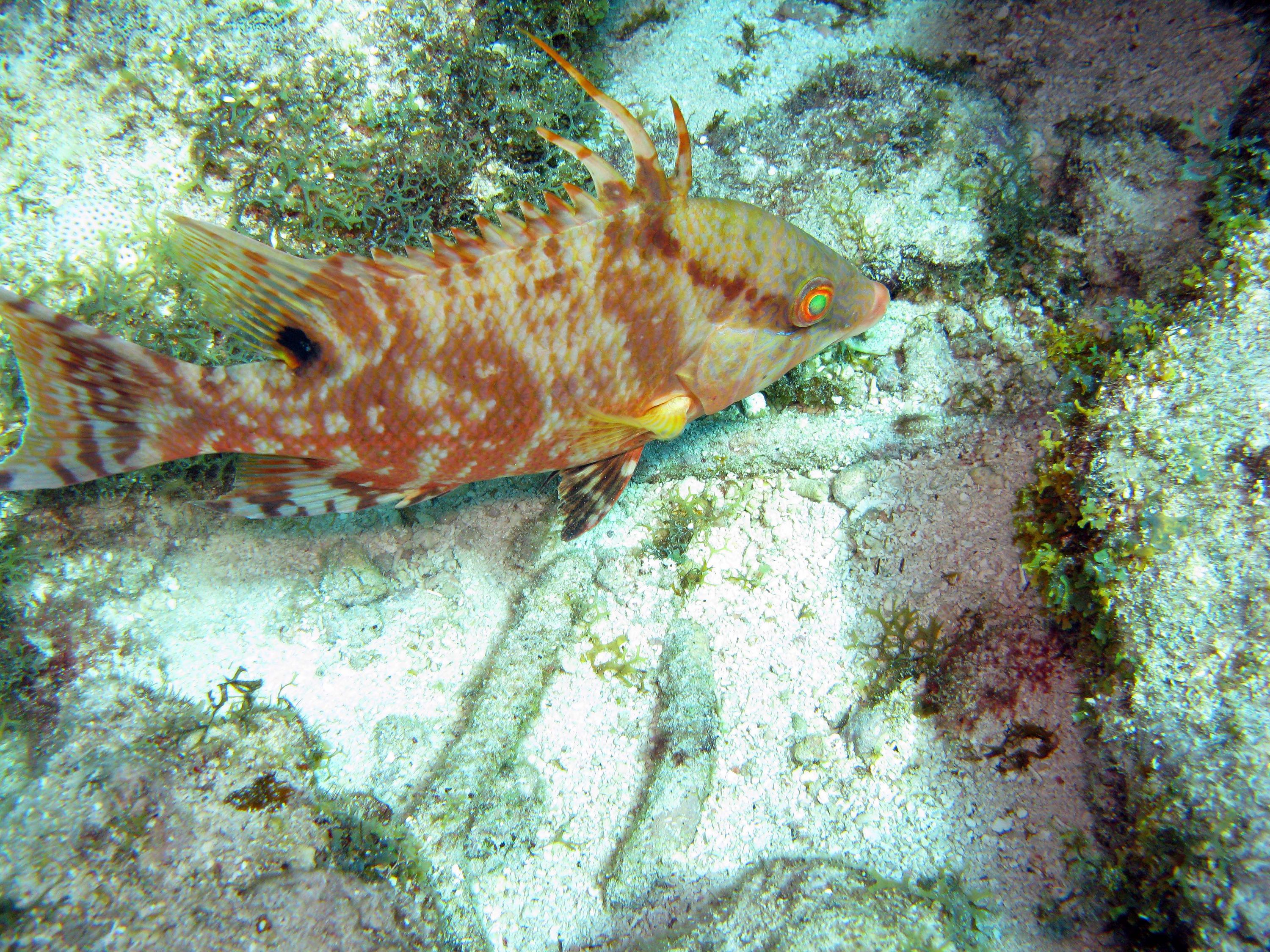 Key Largo