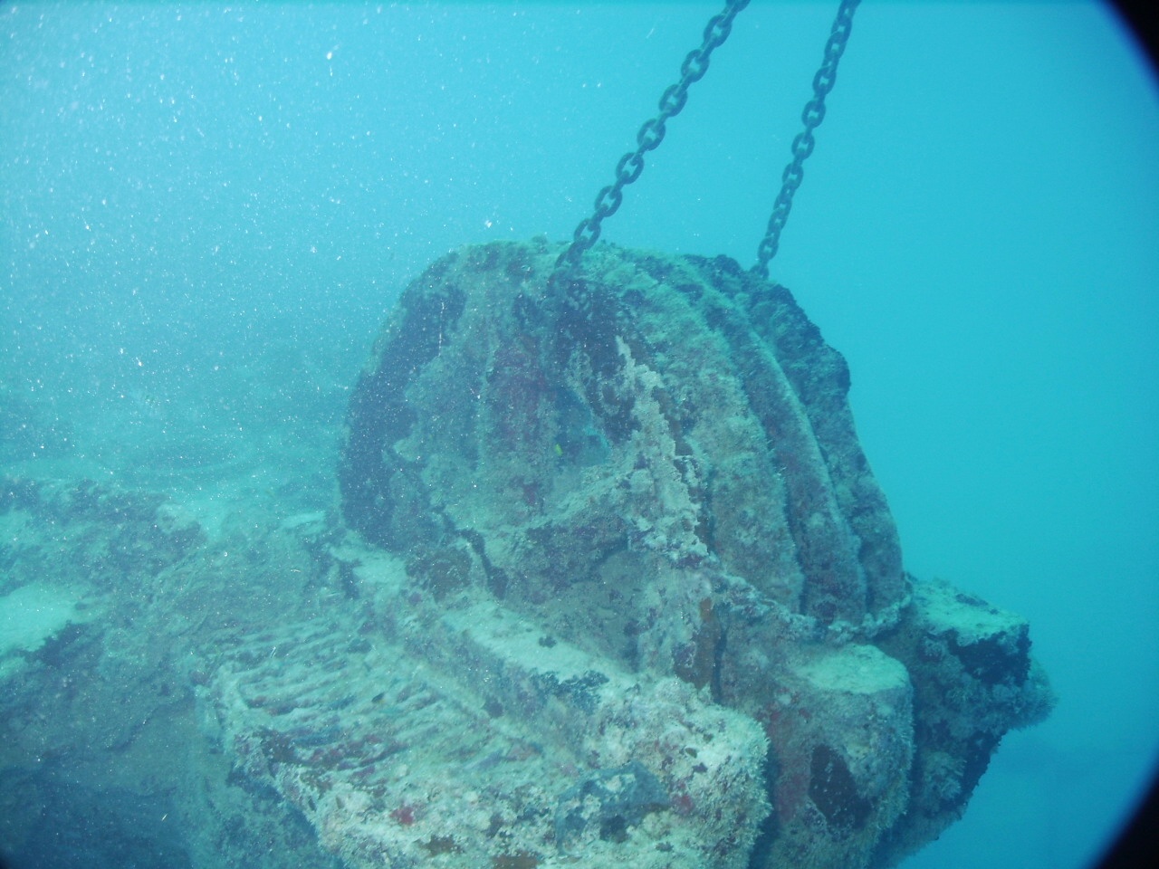 Key West @ Cayman Salvage Master