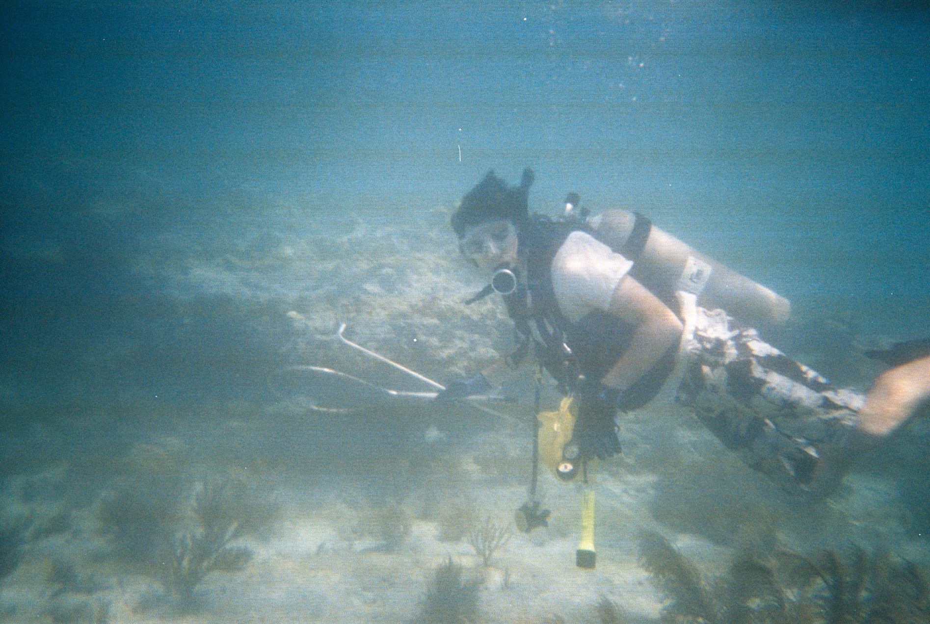 Key West Lobster Dive 2010