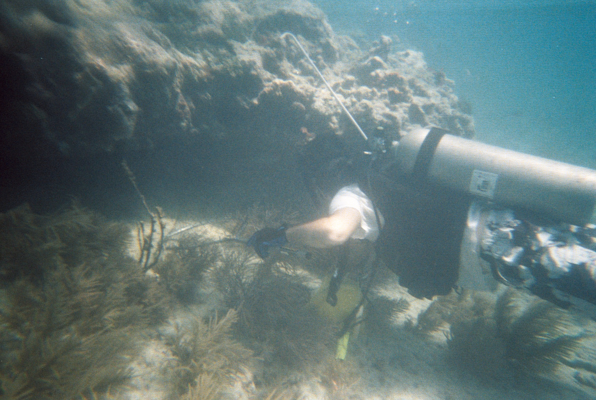 Key West Lobster Dive 2010