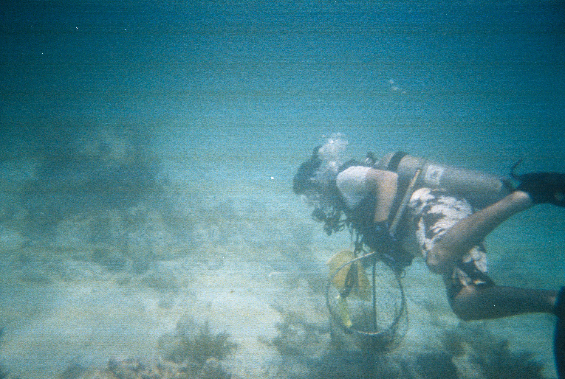 Key West Lobster Dive 2010