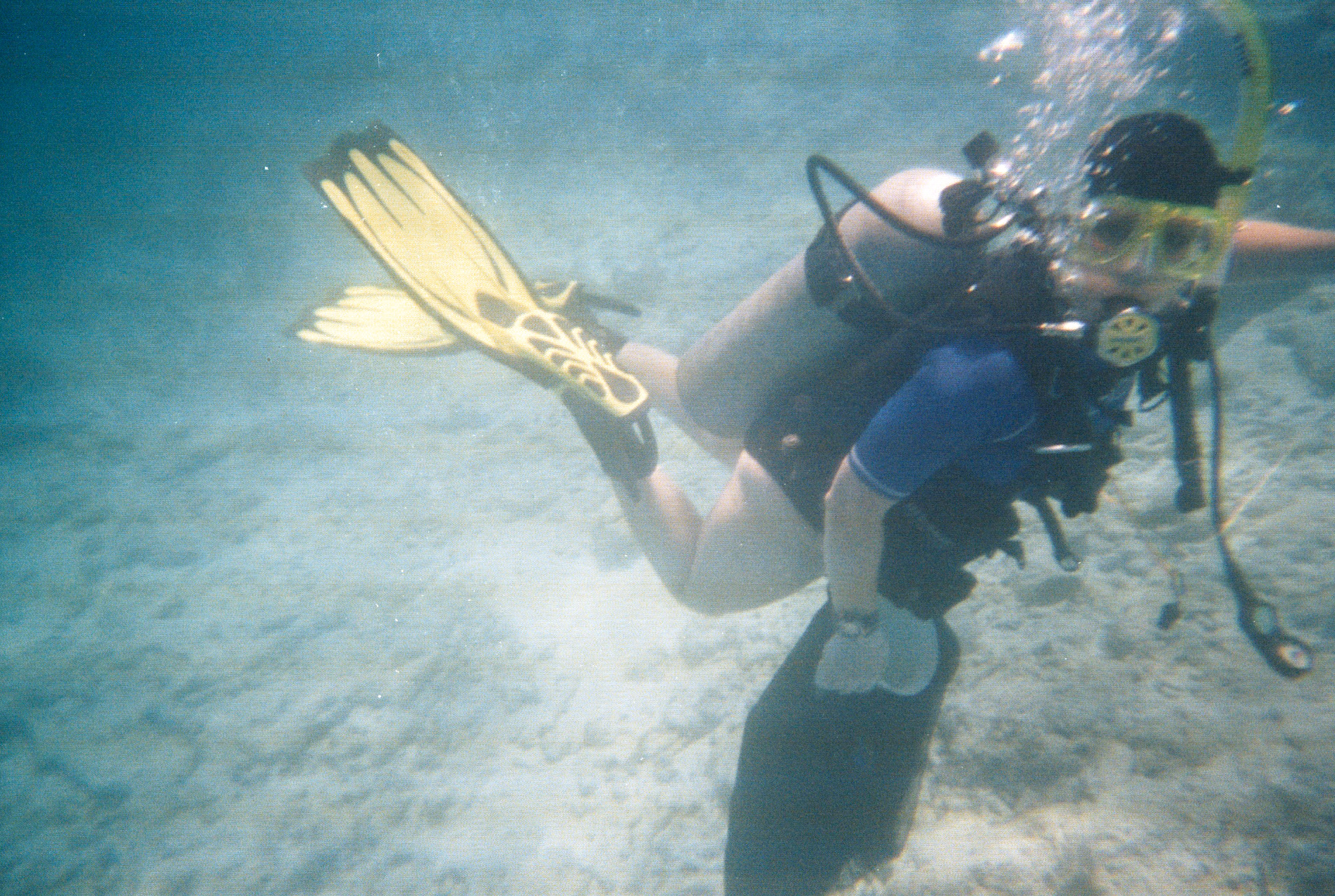 Key West Lobster Dive 2010