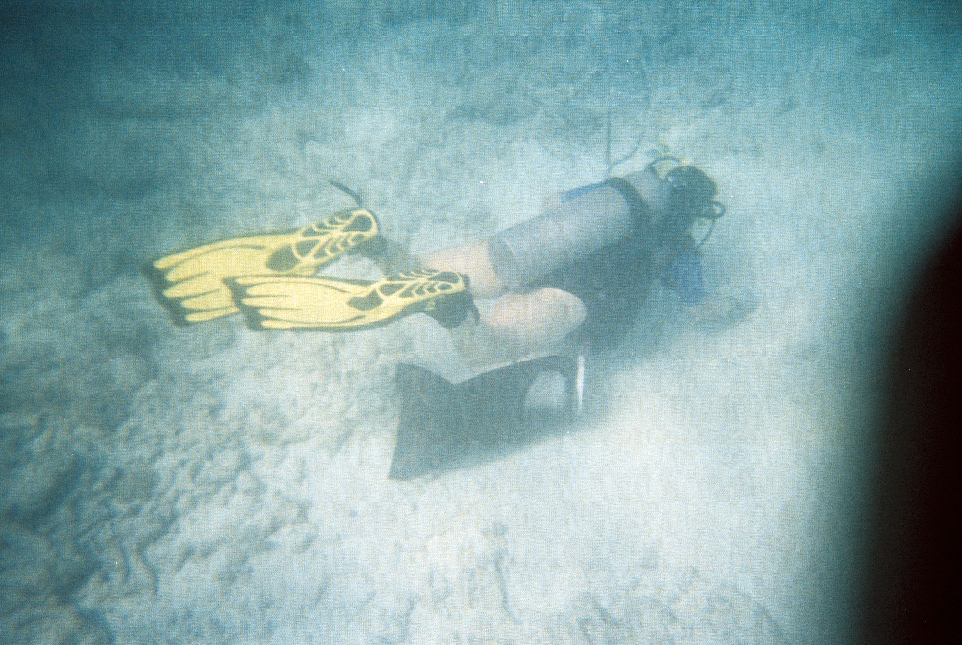 Key West Lobster Dive 2010