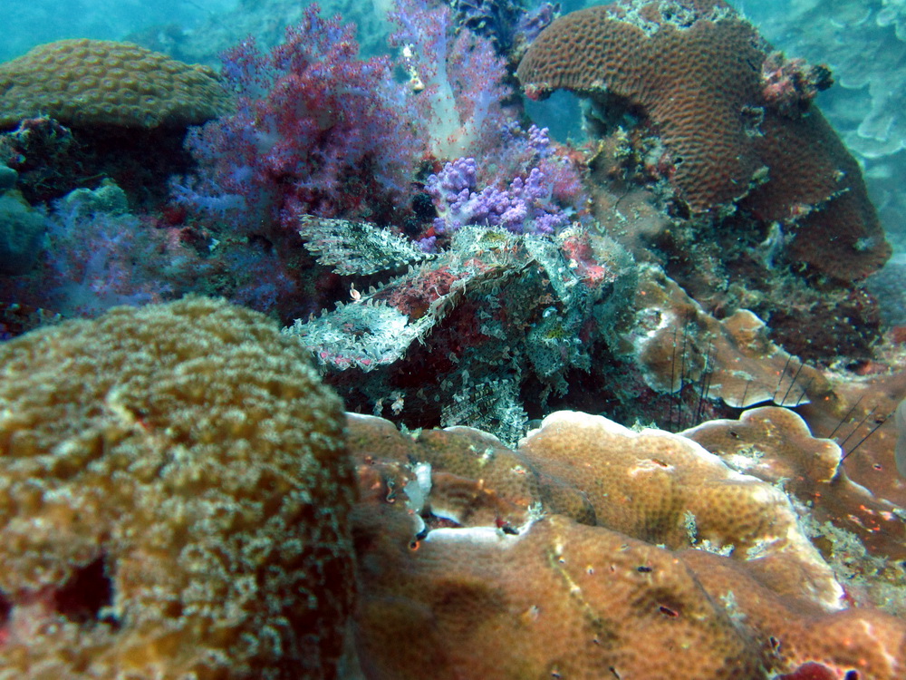 koh Lipe Satun Thailand