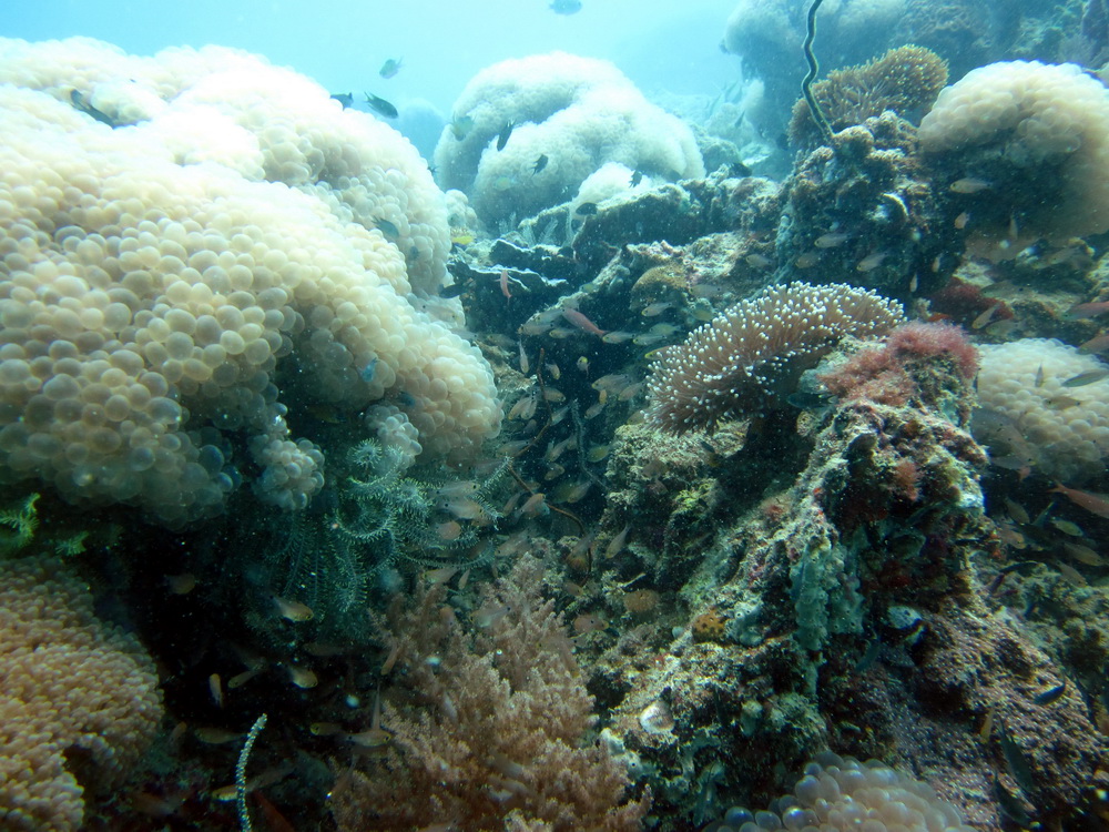 Koh Lipe Satun Thailand