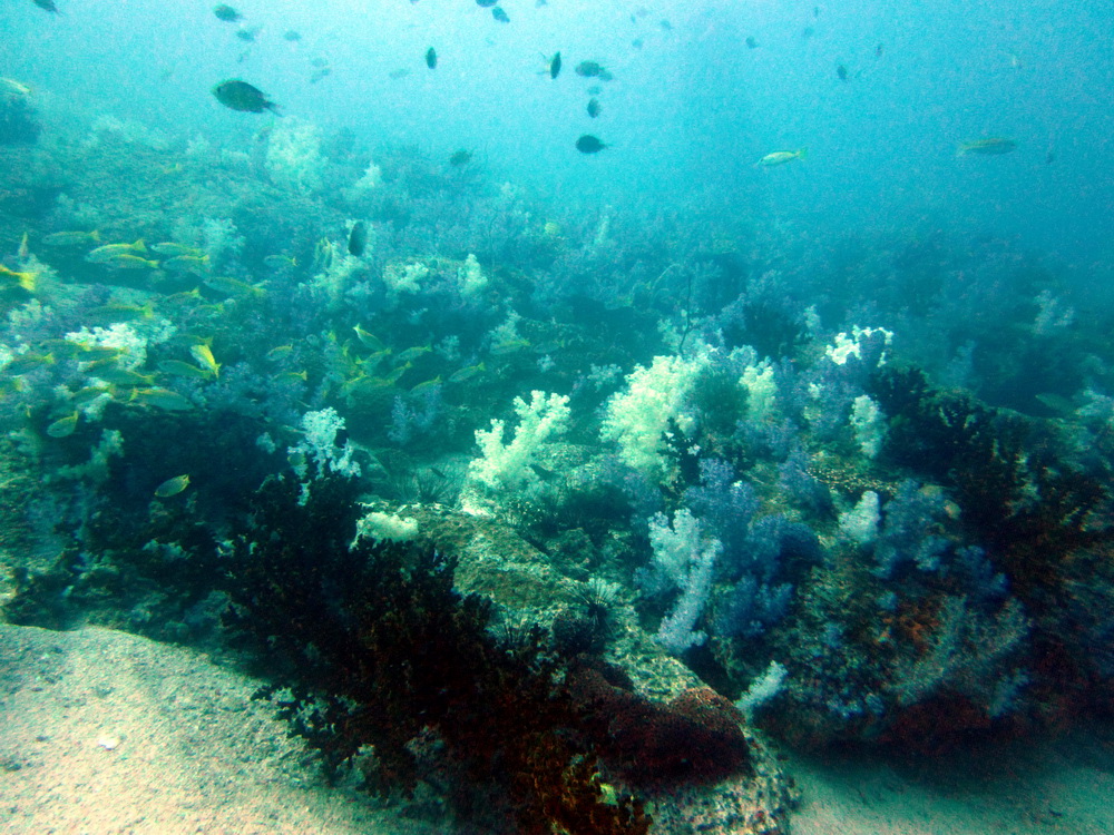 Koh Lipe Satun Thailand