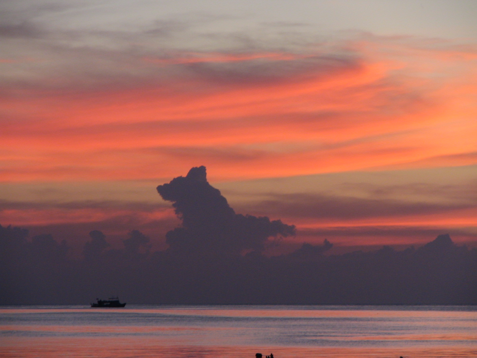 koh tao