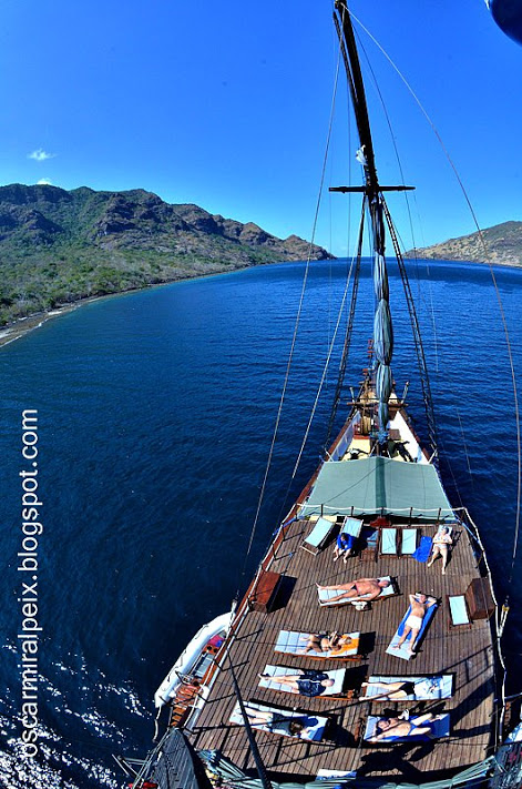 KOMODO_2012_88_copia