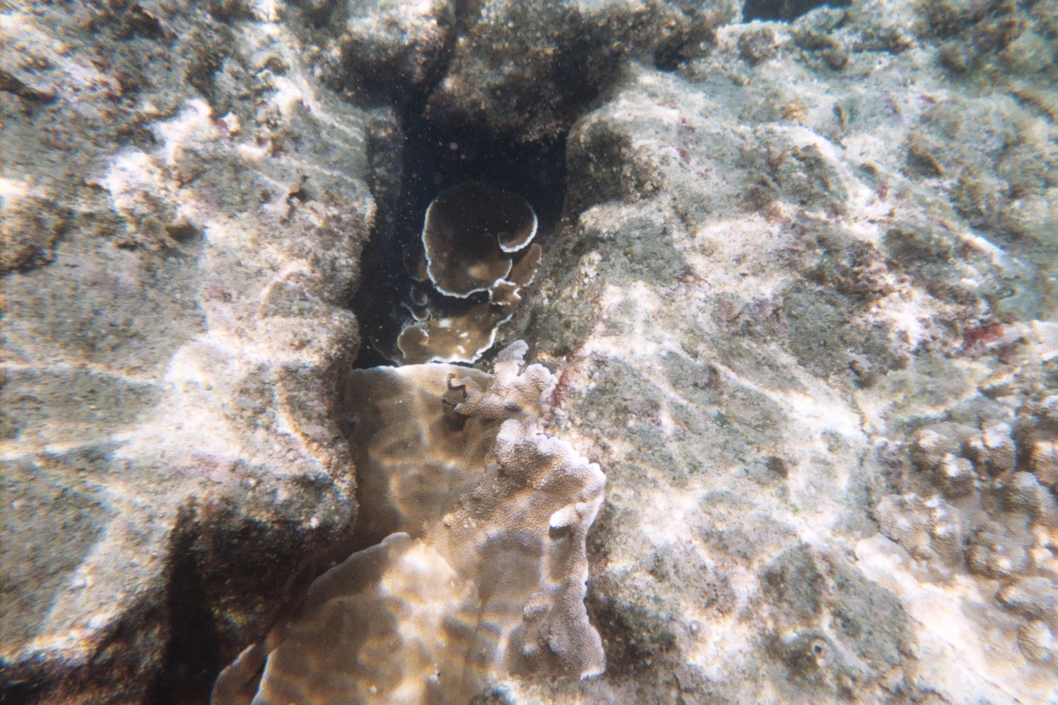 Kopoho Tide Pools - Big Island, HI