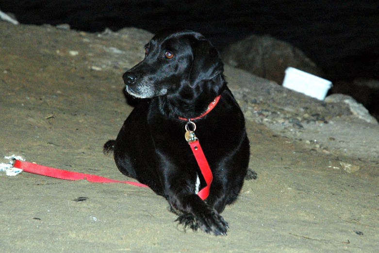 Kusadasi Pamucak beach