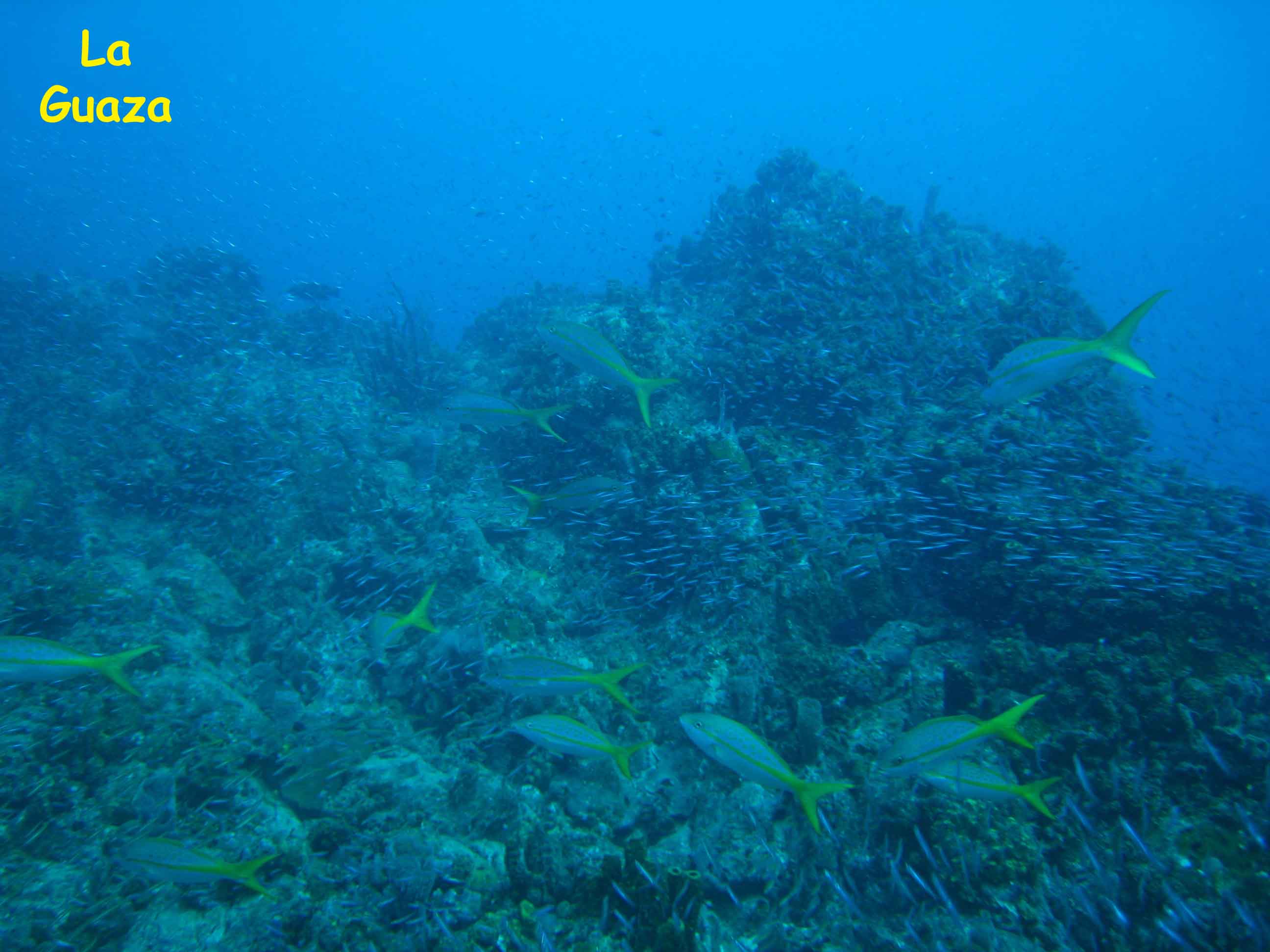 La Guaza, Los Roques, Venezuela