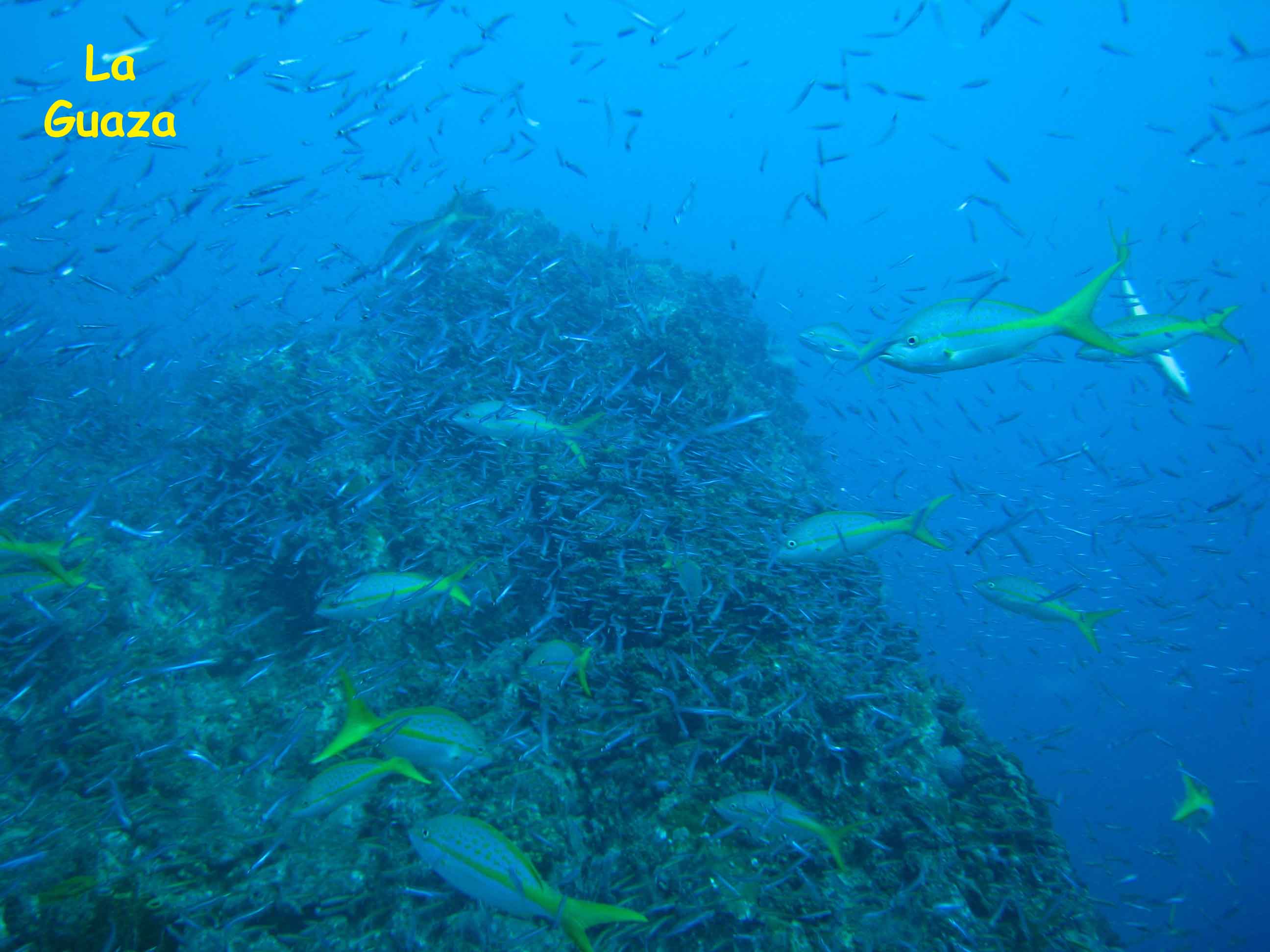 La Guaza, Los Roques, Venezuela