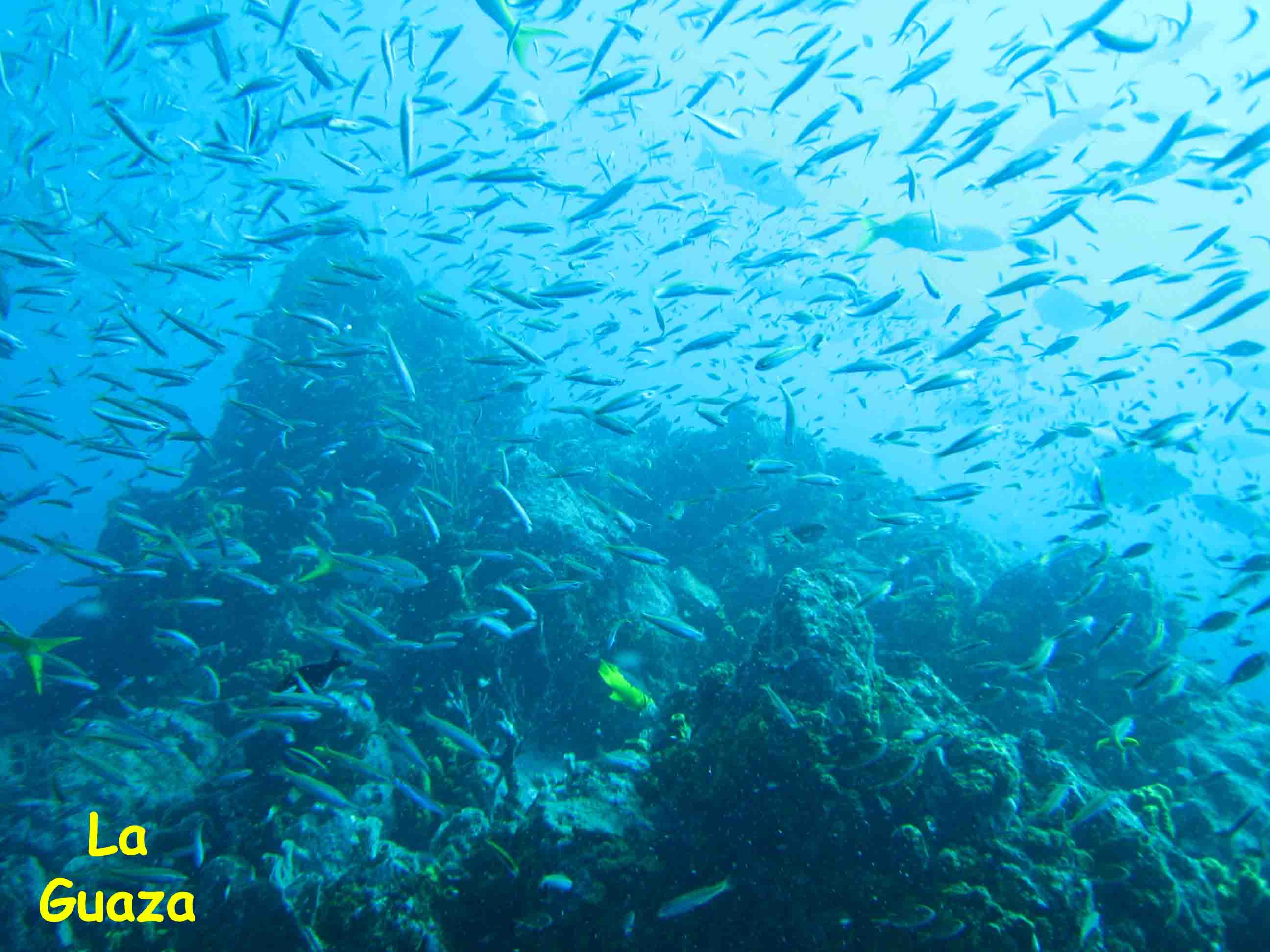 La Guaza, Los Roques, Venezuela