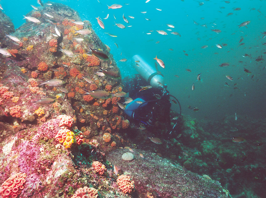 La Paz, Baja Calif. (Get off the Reef!!)