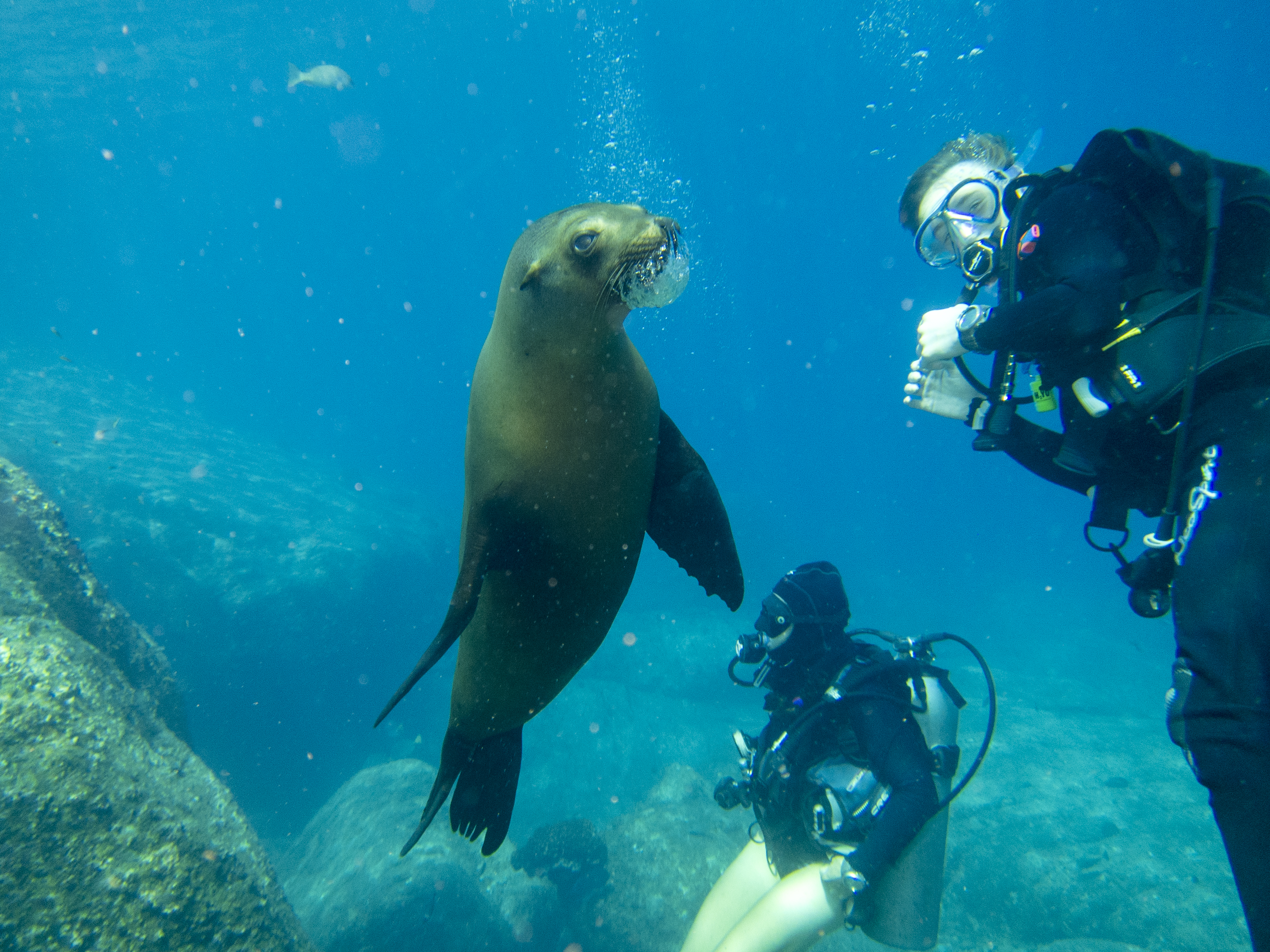 La Paz_20180916_0045