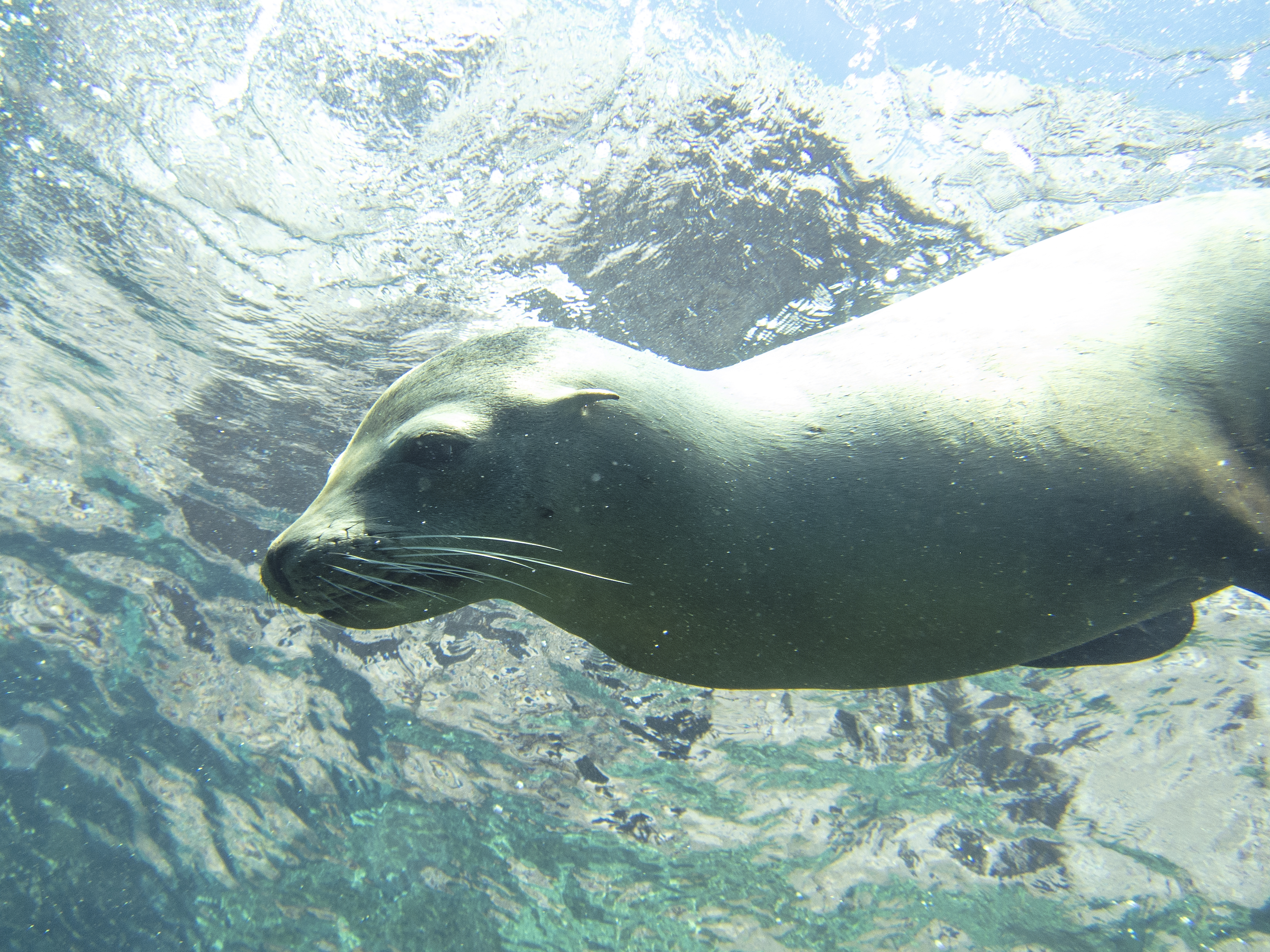 La Paz_20180916_0085