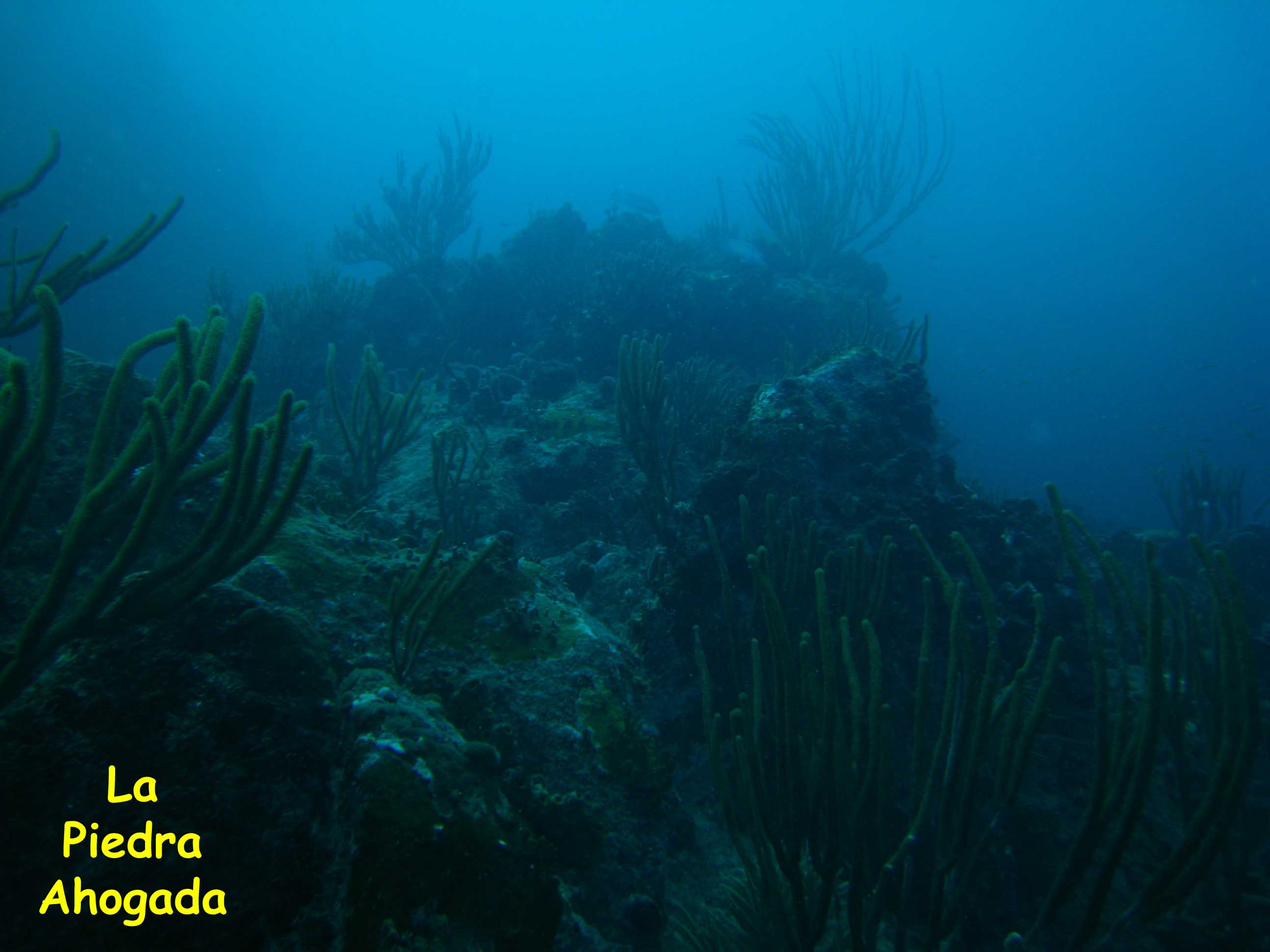 La Piedra Ahogada,Los Roques, Venezuela