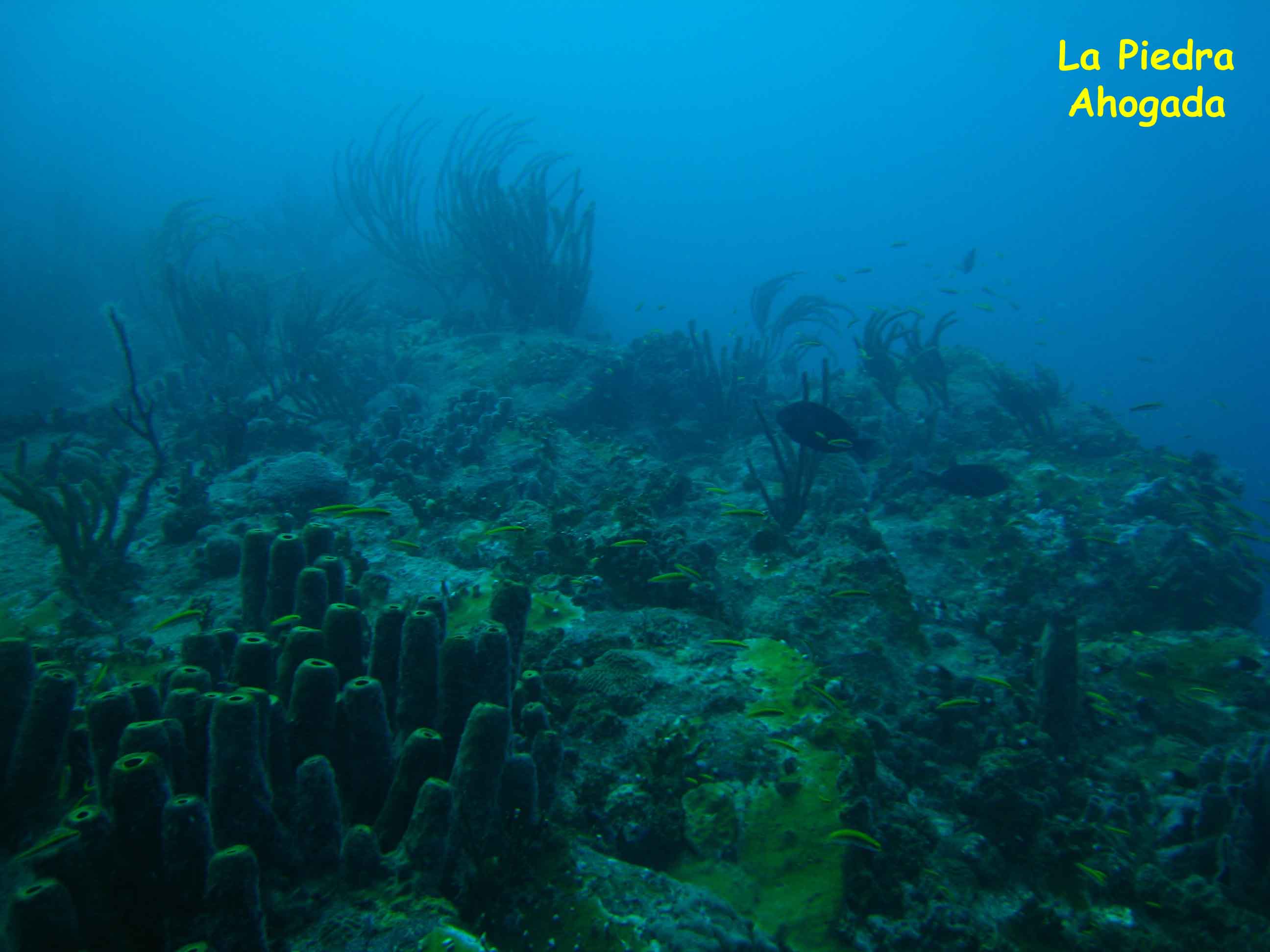 La Piedra Ahogada, Los Roques, Venezuela