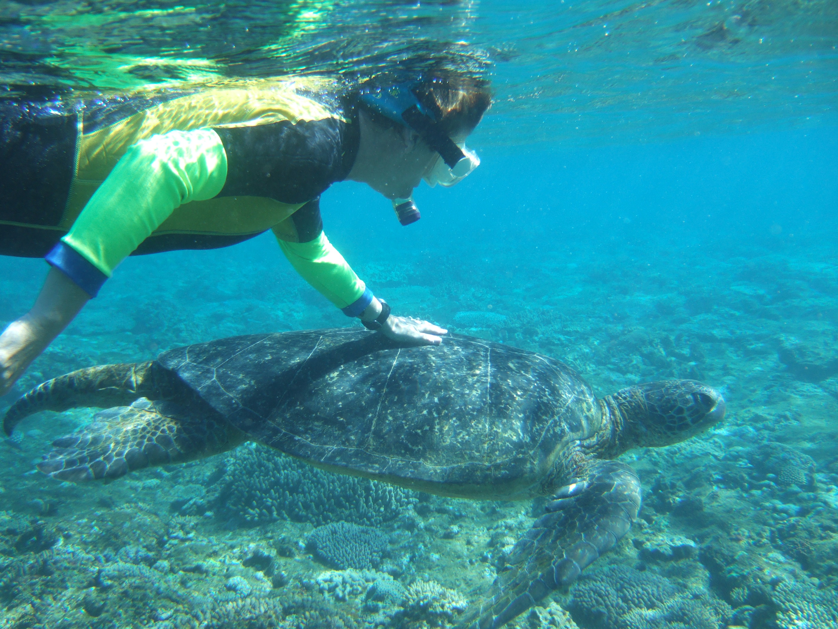 Lady Elliot Island - Queensland - Australia