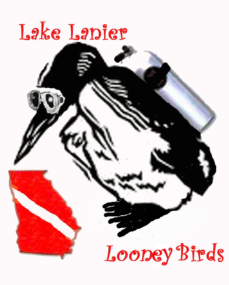 Lake Lanier Looney Birds Logo