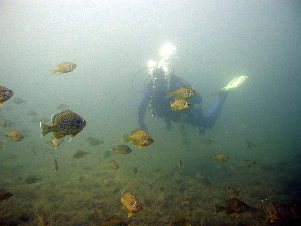 Lake_George_062303_P6240133_Sunken_Island-_SB